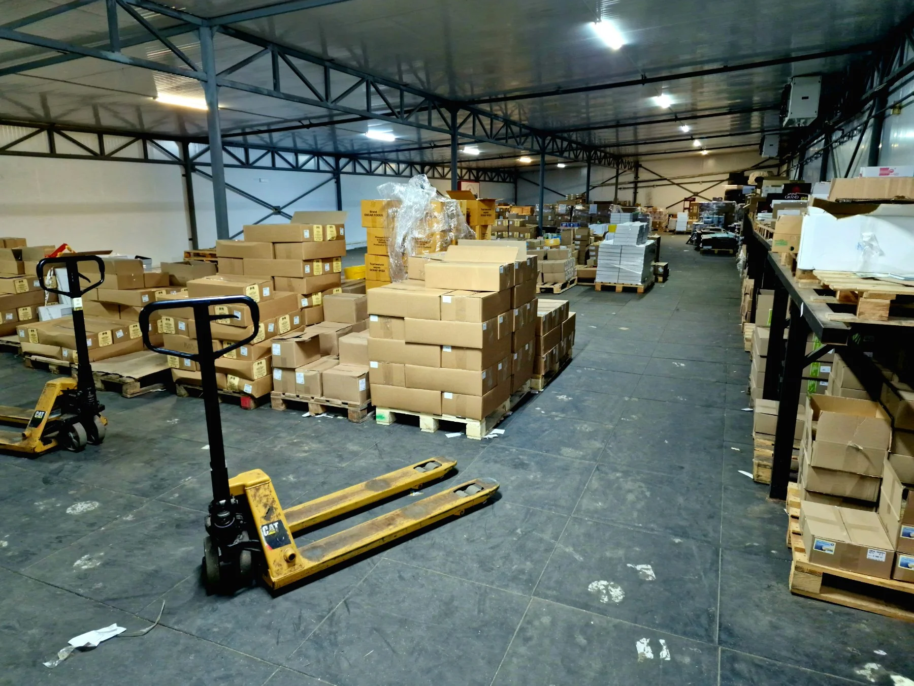 Наша команда